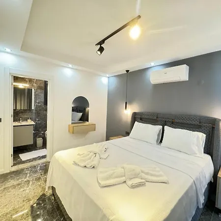 Via Life-1 费特希耶