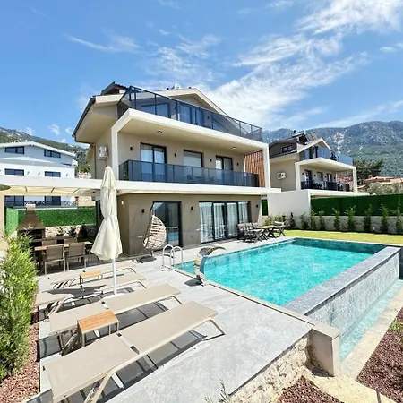 Via Life-1 * 费特希耶